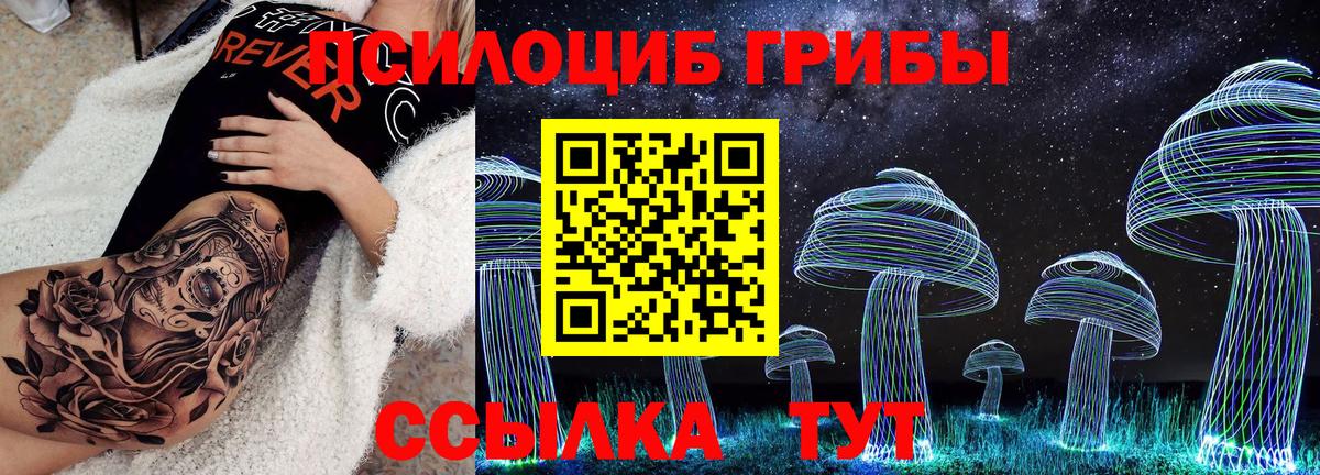 Югорск  Псилоцибиновые грибы мицелий  купить  цена  Вход с VPN 